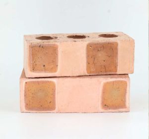 Cameo Rose